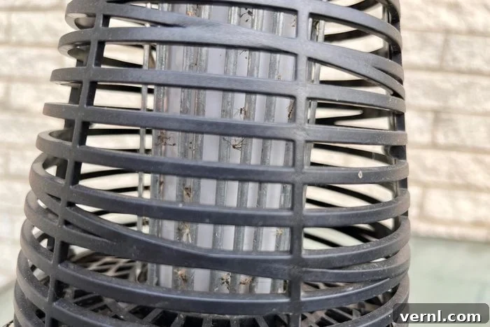 PIC Solar Bug Zapper Torch Review: Is It Worth the Buzz 5 insects stuck in the Pic Insect Killer Torch