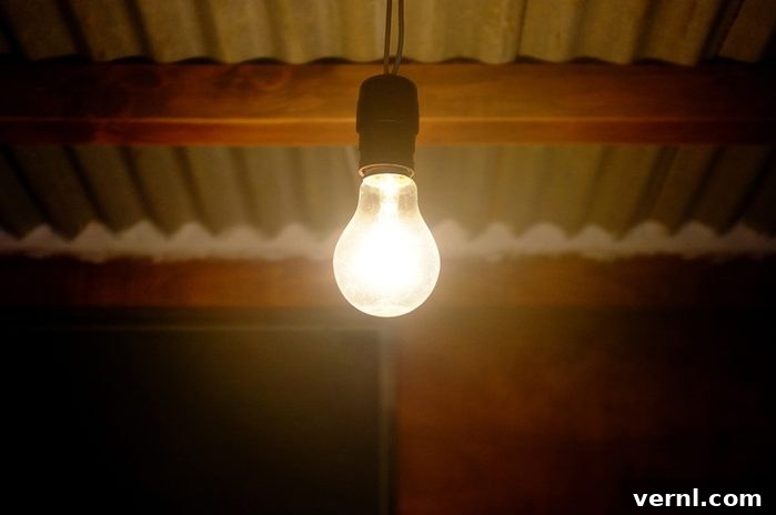Bright Ideas: Understanding the Incandescent Bulb Ban 3 An old incandescent bulb plugged in and glowing in an outdoor porch light socket