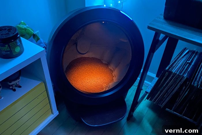 Litter Robot 4: Does This Smart Litter Box Live Up to the Hype 4 Fhma24 Litter Robot 4 Allison Robicelli 03 Ssedit