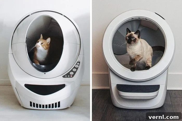 Litter Robot 4: Does This Smart Litter Box Live Up to the Hype 5 Rd Ecomm Litter Robot 3 Vs 4