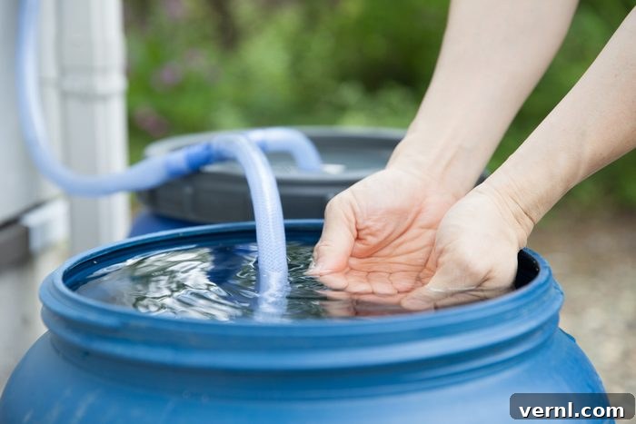 unknown female with hands in clean rain barrel collection tank