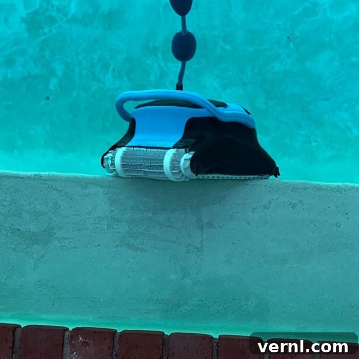 Dolphin Nautilus Robotic Pool Cleaner Editor's Hands-On Review 3 Pool Cleaner underwater