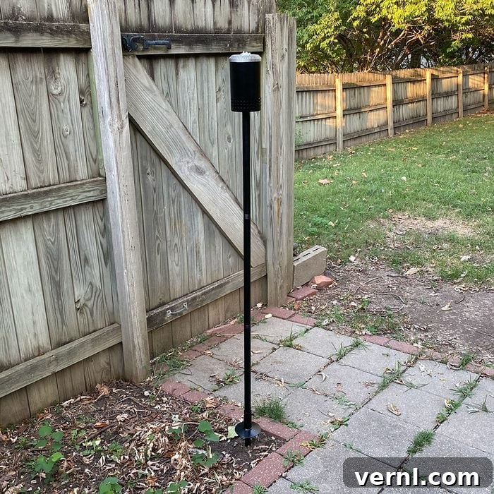 Solo Stove Torch: My Unexpected Delight 3 Solo Stove torch in backyard
