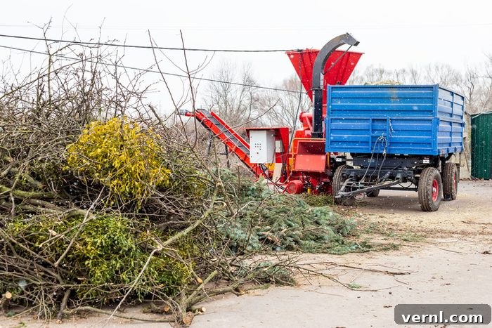 Giving Your Christmas Tree a New Outdoor Life 2 Christmas Tree Recycling Heap of coniferous and deciduous trees and a wood shredder at industrial compost center.