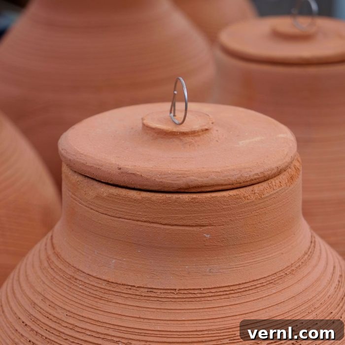 Ancient Wisdom, Modern Gardens: The Unbeatable Watering System 2 Terracotta Olla Pots are used to water soil by planting the pots in the ground to disperse water