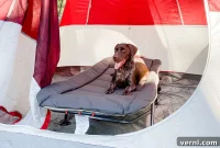 REI Kingdom Cot Review: A Luxurious Sleep for the Avid Camper