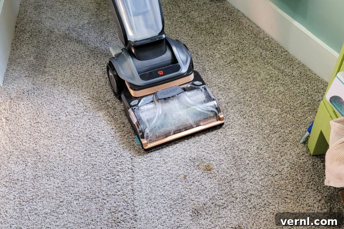 Hoover vs. Bissell: The Ultimate Pet Stain Carpet Cleaner Showdown 9 Bissell Revolution Hydrosteam Pet Carpet Cleaner
