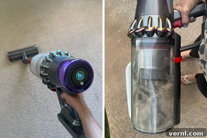 Dyson Outsize Plus cleaning a carpet covered in pet hair