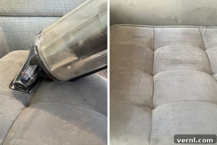 Dyson Outsize Plus showing before and after cleaning of a dog bed