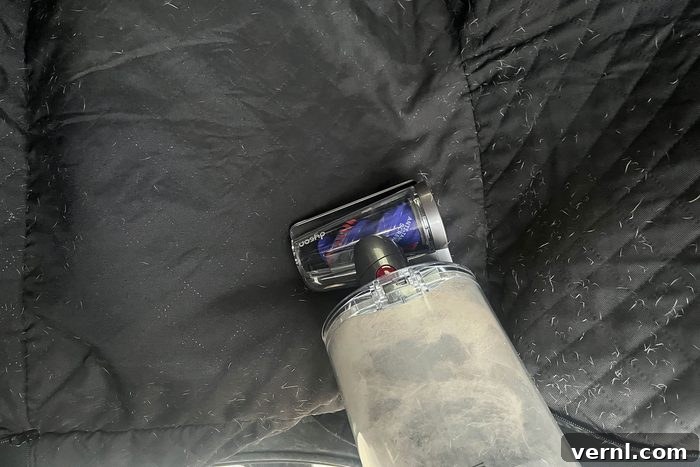 Dyson Outsize Plus cleaning a dog hammock in a car