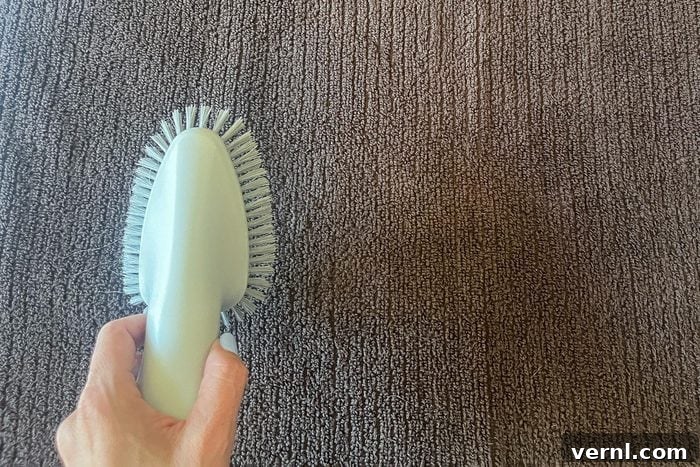 We Tested This Dog Grooming Vacuum on All Fur Types 11 Brushing the towel