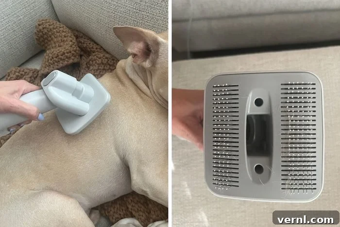 We Tested This Dog Grooming Vacuum on All Fur Types 7 Dog and Brush side by side