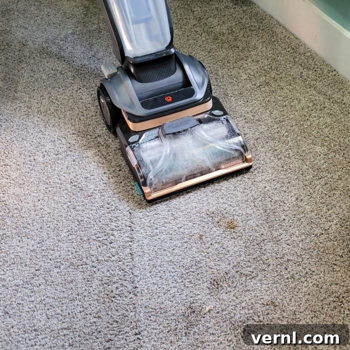 Bissell Revolution HydroSteam Pet: Our Test Proves It's a Game-Changer 3 Bissell Revolution Hydrosteam Pet Carpet Cleaner in action on a carpet