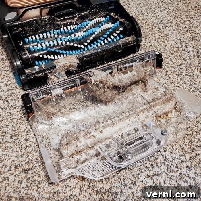 Bissell Revolution HydroSteam Pet: Our Test Proves It's a Game-Changer 4 Bissell Revolution Hydrosteam Pet Carpet Cleaner's clean water tank
