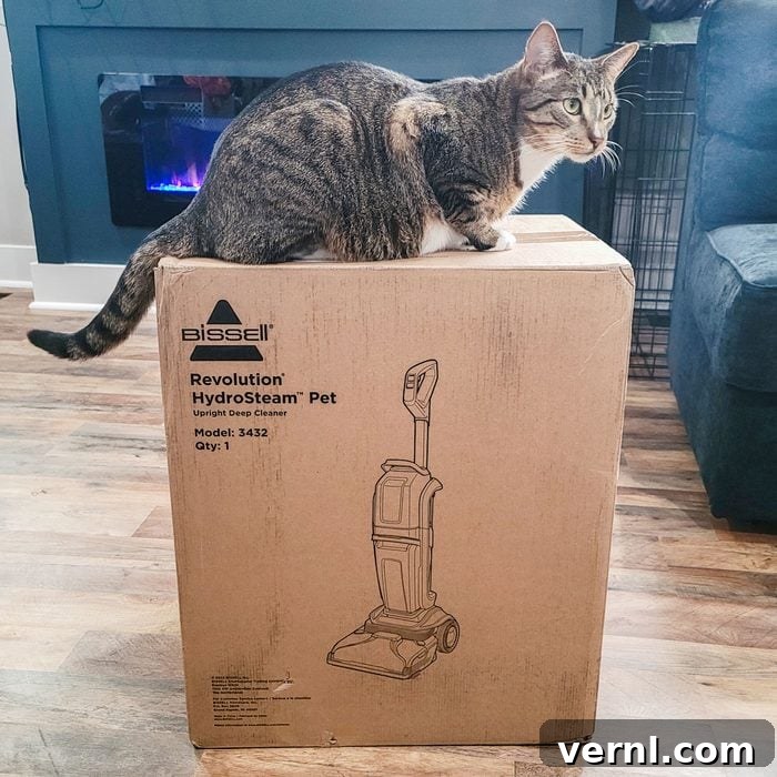 Bissell Revolution HydroSteam Pet: Our Test Proves It's a Game-Changer 5 Bissell Revolution Hydrosteam Pet Carpet Cleaner being used on a rug