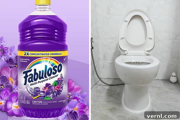 Fabuloso In The Toilet Tank: Does It Work?
