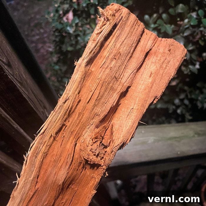 Is This Firewood Subscription the Future for Your Fire Pit and Pizza Oven 5 Cutting Edge Firewood logs showcasing consistent size and clean cuts, ideal for various fire pits.