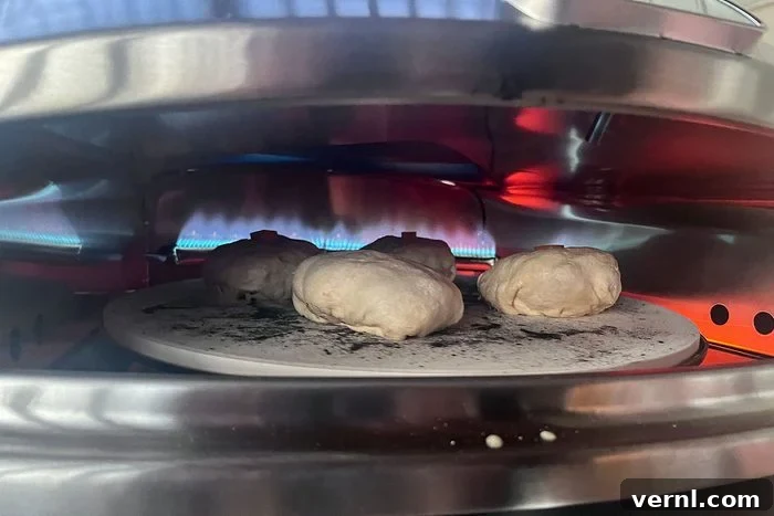 The Halo Pizza Oven Unlocked Pizzeria Quality Pizza in My Home 3 Bagels cooking in Halo Pizza Oven