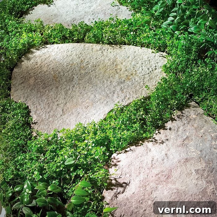 Walkway Wisdom Stone Pavers or Gravel for Your Garden 3 Stone Paths