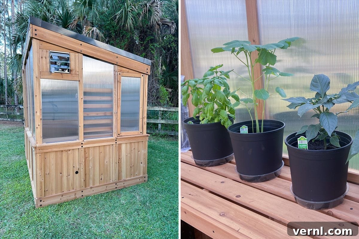 Backyard Discovery Willow Greenhouse: My Green Dream Takes Root 3 Backyard Discovery Greenhouse Product features