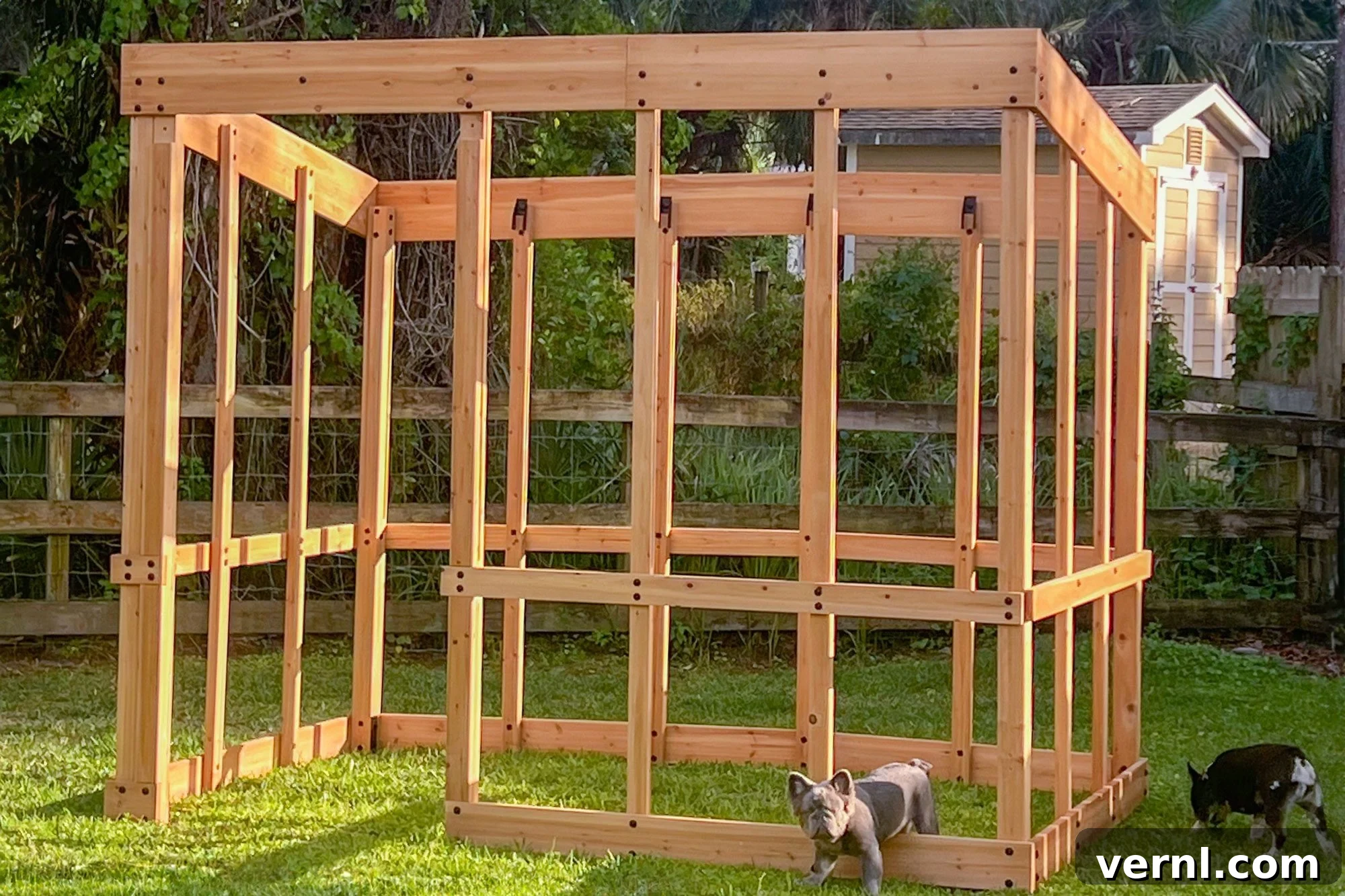 Backyard Discovery Willow Greenhouse: My Green Dream Takes Root 5 Backyard Discovery Greenhouse test 2