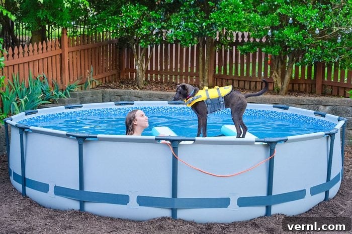 Bestway Above Ground Pool Review The Simple Secret To Affordable Summer 4 Bestway Above Ground Pool