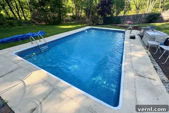Wybot Pool Cleaner Review My New Favorite Chore 5 Wybot C1 Robotic Pool Cleaner
