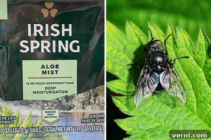 The Truth About Irish Spring Soap and Mosquitoes Expert Perspectives 2 side by side of irish spring soap and a black fly