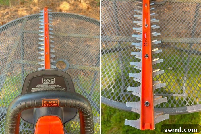 Black+Decker Cordless Hedge Trimmer Review: Real-World Performance Tested 5 Black And Decker Hedge Trimmer Blades
