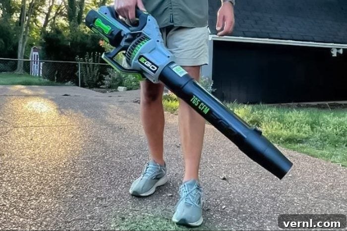 Ego Leaf Blower Test