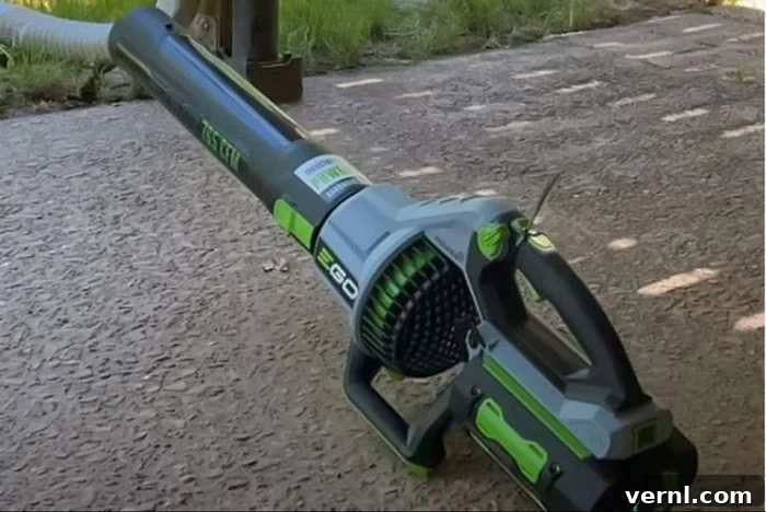 Ego Leaf Blower Final Verdict