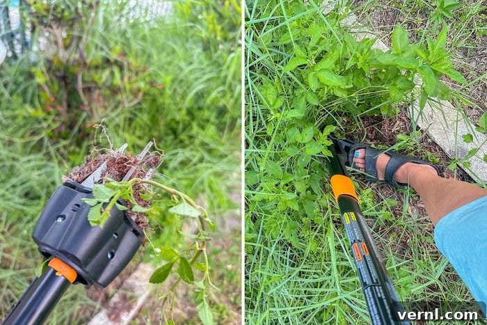 Fiskars Deluxe Weeder: Budget-Friendly and Back-Saving 3 How we Tested it