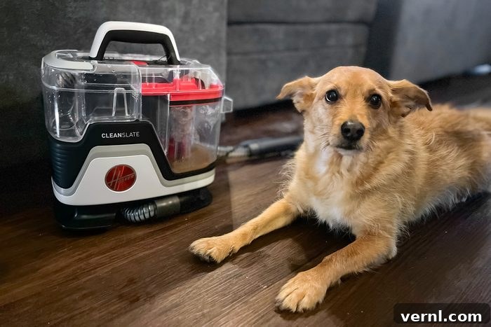 Hoover Clean Slate Carpet Cleaner The Ultimate Pet Mess Solution 2 Hoover Clean Slate portable carpet cleaner