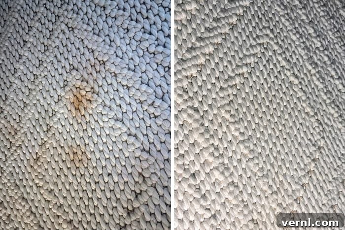 Hoover Clean Slate Carpet Cleaner The Ultimate Pet Mess Solution 9 Rugs before and after cleaning with Hoover Clean Slate