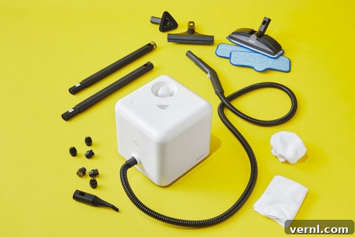 Our Product Testers Are Raving About the Wagner Steam Cleaner 4 Dupray Neat Steam Cleaner