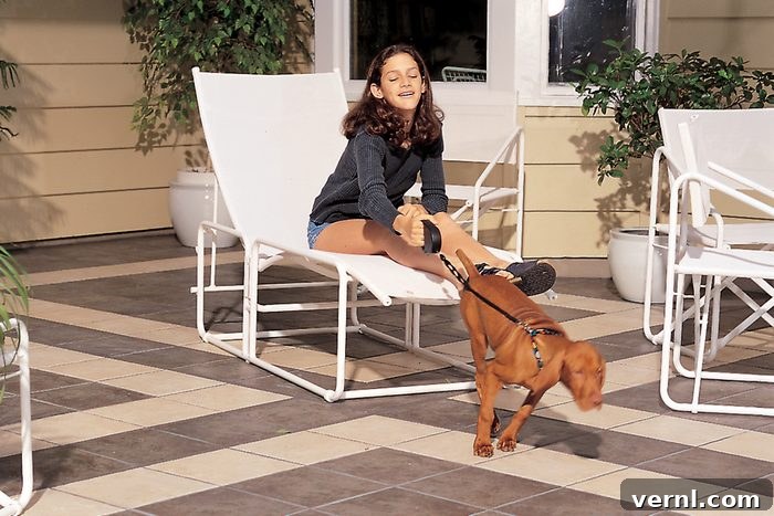 Mastering Your Tile Patio Build 8 A Guide To Building A Patio With Ceramic Tile Fh97apr 01098008
