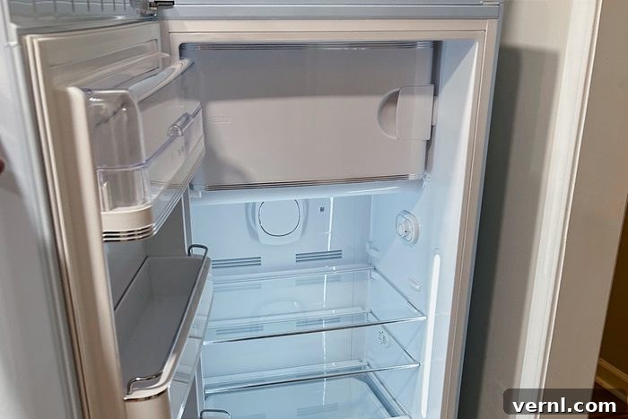 Smeg Fridge Review: Is the Style Just Skin Deep? 5 Interior of Smeg Fab 28 Fridge