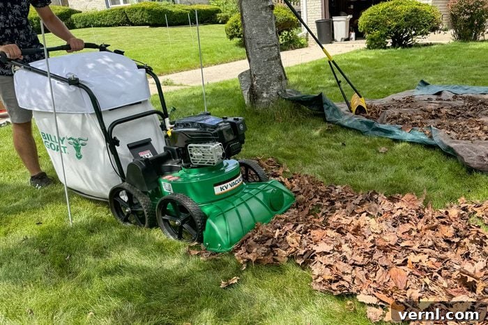 Billy Goat Leaf Vacuum: The GOAT of Leaf Removal 4 Billy Goat Leaf & Litter Vacuum Final verdict