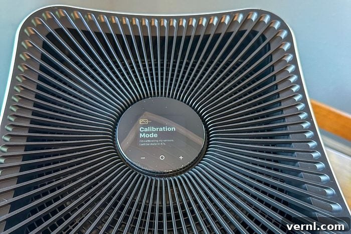 Mila Air Purifier: Our Home's Freshest Scent Ever 7 Mila Air Purifier Final Verdict