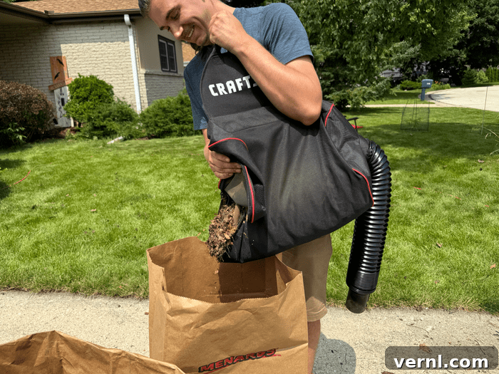 Effortless Yard Perfection: Craftsman's 2-in-1 Backpack Blower Delivers 4 Using Craftsman Backpack 2