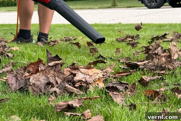 Toro Ultra Blower Vac: Affordable Clean Yards, All Season Long 3 Fhma24 Toro Ultra Leaf Blower Vac in vacuuming operation with collection bag, demonstrating efficient leaf removal.