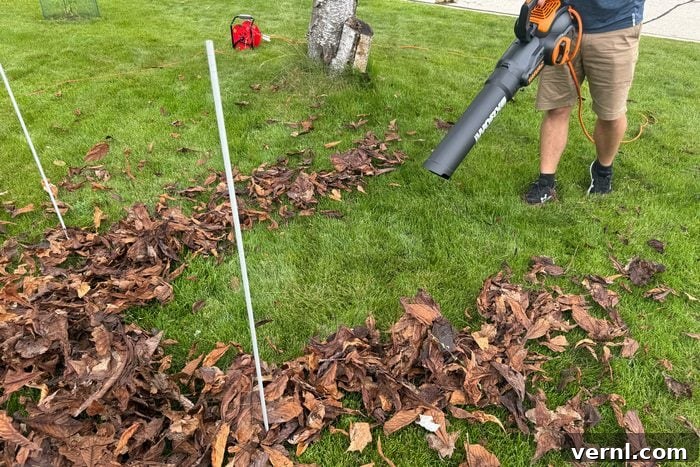 Worx TRIVAC Review The Three-in-One That Dominates Leaf Cleanup 3 Worx Leaf Vacuum as a leaf blower