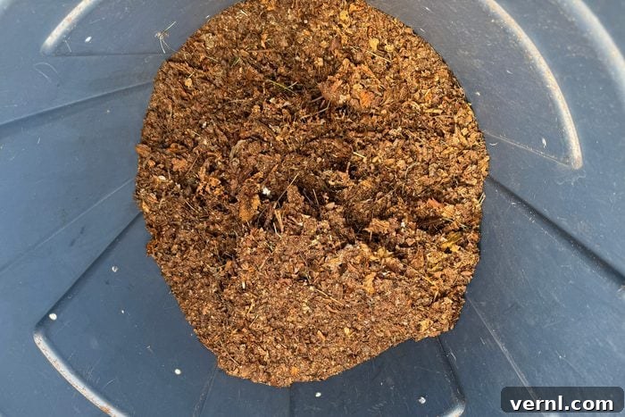 Worx TRIVAC Review The Three-in-One That Dominates Leaf Cleanup 4 Worx Leaf Vacuum in vacuum mode