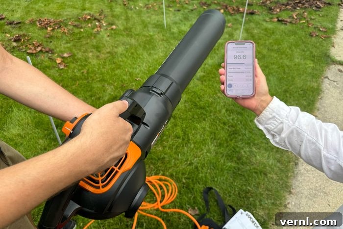 Worx TRIVAC Review The Three-in-One That Dominates Leaf Cleanup 6 Worx Leaf Vacuum showing its quiet operation