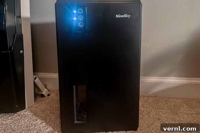 Ninesky Dehumidifier Review: Our Frank Opinion 2 Ninesky Dehumidifier for Home Humidity Control