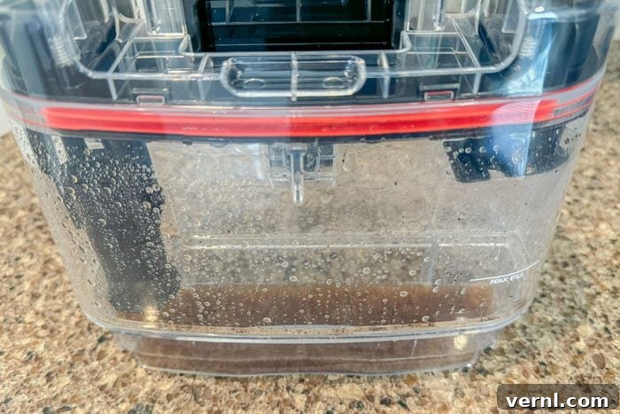 Shark Stainstriker Dirty Water Tank