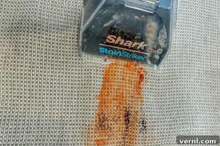 Shark Stainstriker cleaning stains