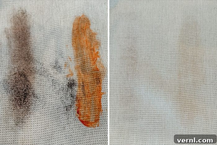 Shark Stainstriker fabric stains