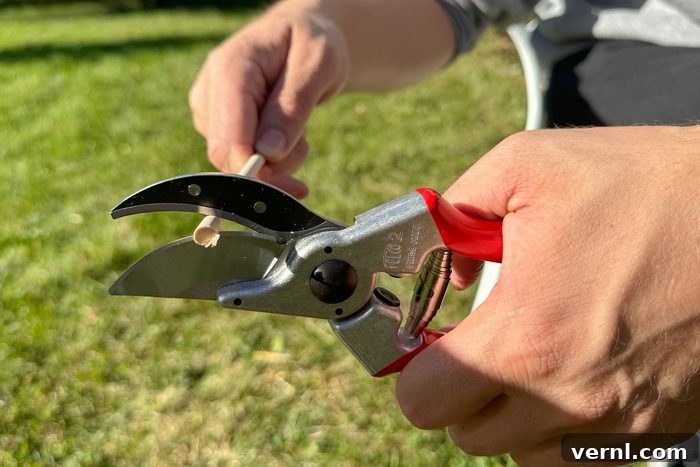 Felco Pruners Tested And Proven For Impeccable Cuts 2 Felco 2 Pruners with ergonomic design and contoured finger grips