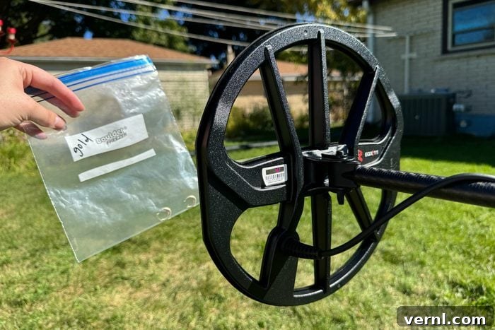 Unlock Your Fortune: Why the Minelab Equinox 900 is Your Ultimate Detector 4 Minelab Equinox 900 Air Test